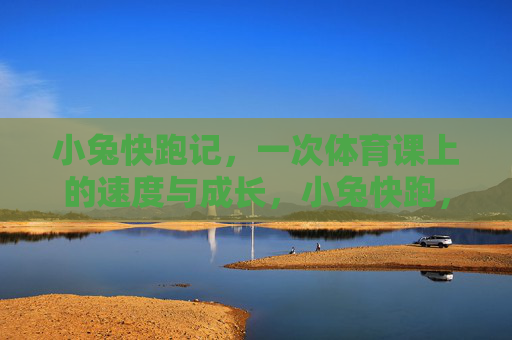 小兔快跑记，一次体育课上的速度与成长，小兔快跑，体育课上的速度与成长