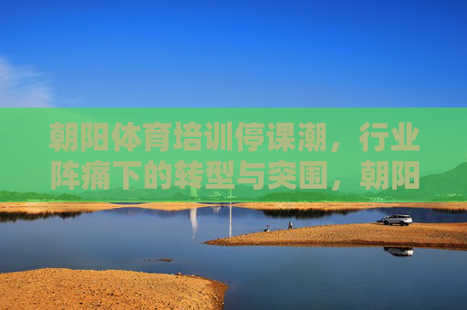 朝阳体育培训停课潮，行业阵痛下的转型与突围，朝阳体育培训停课潮，行业阵痛下的转型与突围