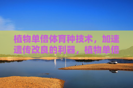 植物单倍体育种技术，加速遗传改良的利器，植物单倍体育种技术，加速遗传改良的利器