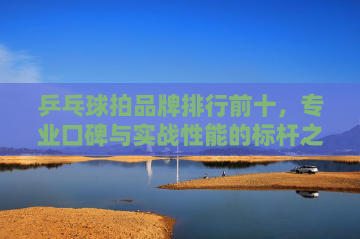 乒乓球拍品牌排行前十,专业口碑与实战性能的标杆之选,乒乓球拍十大品牌排行,专业口碑与实战性能标杆之选 乒乓球拍品牌排行前十,专业口碑与实战性能的标杆之选,乒乓球拍十大品牌排行,专业口碑与实战性能标杆之选