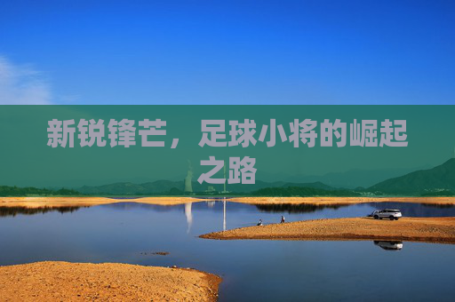 新锐锋芒,足球小将的崛起之路 新锐锋芒,足球小将的崛起之路