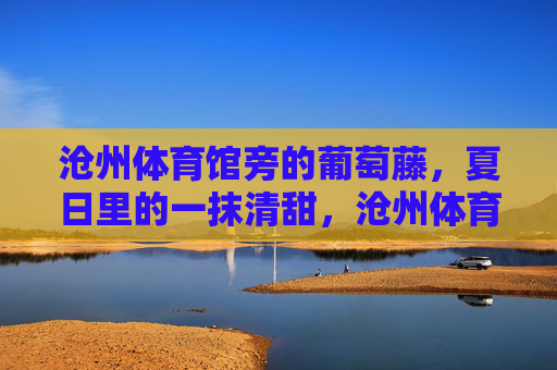 沧州体育馆旁的葡萄藤，夏日里的一抹清甜，沧州体育馆旁，夏日葡萄藤的清甜