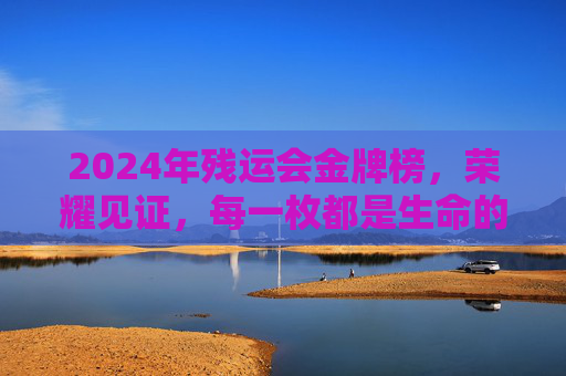 2024年残运会金牌榜，荣耀见证，每一枚都是生命的礼赞，2024残运会金牌榜，每一枚都是生命的礼赞