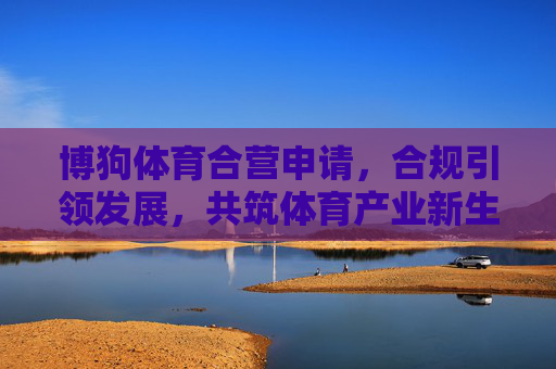 博狗体育合营申请，合规引领发展，共筑体育产业新生态，博狗体育合营申请，合规引领，共筑体育产业新生态