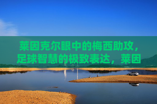 莱因克尔眼中的梅西助攻，足球智慧的极致表达，莱因克尔评梅西助攻，足球智慧的极致表达