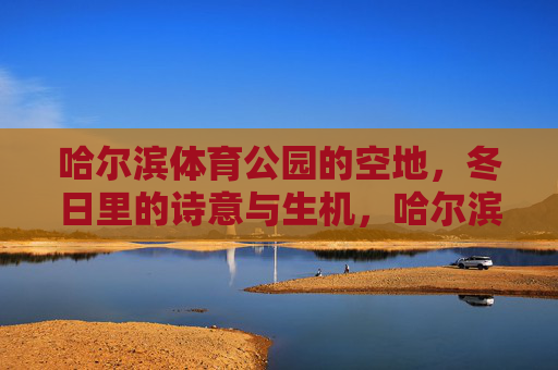 哈尔滨体育公园的空地,冬日里的诗意与生机,哈尔滨体育公园冬日空地,诗意与生机 哈尔滨体育公园的空地,冬日里的诗意与生机,哈尔滨体育公园冬日空地,诗意与生机