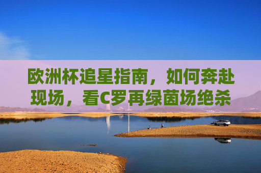 欧洲杯追星指南,如何奔赴现场,看C罗再绿茵场绝杀?欧洲杯现场追C罗,奔赴赛场见证绝杀时刻 欧洲杯追星指南,如何奔赴现场,看C罗再绿茵场绝杀?欧洲杯现场追C罗,奔赴赛场见证绝杀时刻