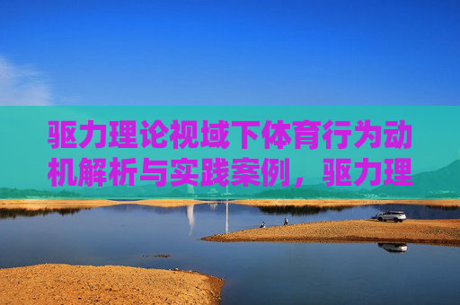 驱力理论视域下体育行为动机解析与实践案例，驱力理论视域下体育行为动机解析与实践案例