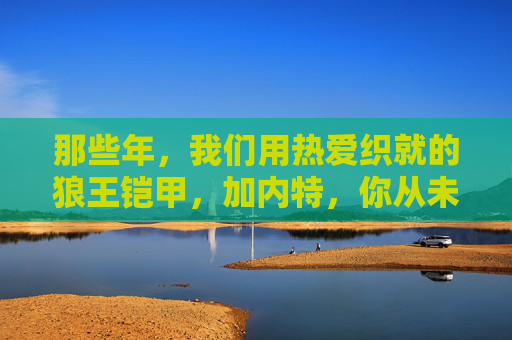 那些年,我们用热爱织就的狼王铠甲,加内特,你从未孤单,加内特的狼王铠甲,热爱织就,从未孤单 那些年,我们用热爱织就的狼王铠甲,加内特,你从未孤单,加内特的狼王铠甲,热爱织就,从未孤单