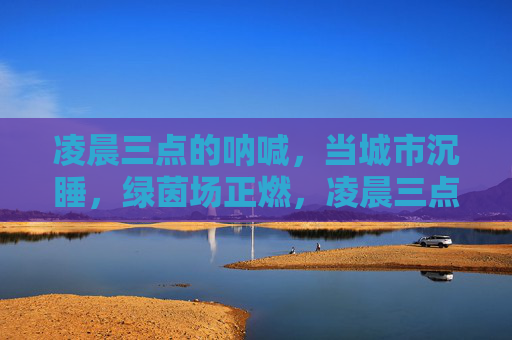 凌晨三点的呐喊,当城市沉睡,绿茵场正燃,凌晨三点,绿茵场燃,沉睡城市的呐喊 凌晨三点的呐喊,当城市沉睡,绿茵场正燃,凌晨三点,绿茵场燃,沉睡城市的呐喊