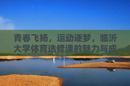 青春飞扬，运动逐梦，临沂大学体育选修课的魅力与成长，青春逐梦，临沂大学体育选修课的魅力与成长
