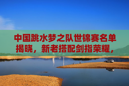 中国跳水梦之队世锦赛名单揭晓，新老搭配剑指荣耀，传承中续写传奇，中国跳水梦之队世锦赛名单，新老搭配剑指荣耀传承传奇