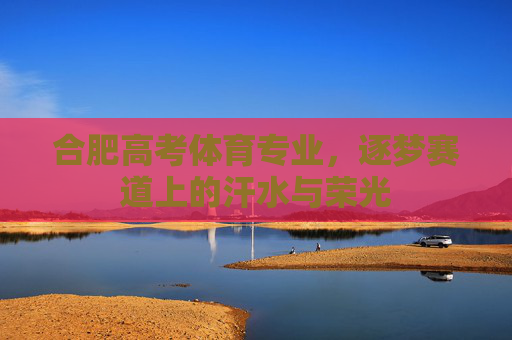 合肥高考体育专业,逐梦赛道上的汗水与荣光 合肥高考体育专业,逐梦赛道上的汗水与荣光