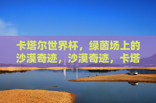 卡塔尔世界杯，绿茵场上的沙漠奇迹，沙漠奇迹，卡塔尔世界杯绿茵场