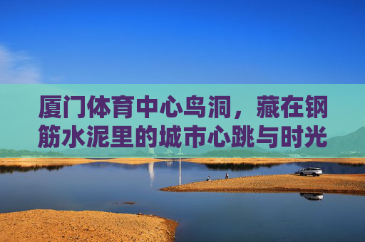 厦门体育中心鸟洞，藏在钢筋水泥里的城市心跳与时光印记，厦门体育中心鸟洞，钢筋水泥里的城市心跳与时光印记