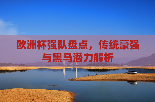 欧洲杯强队盘点,传统豪强与黑马潜力解析 欧洲杯强队盘点,传统豪强与黑马潜力解析