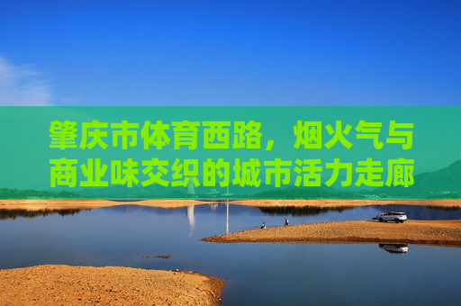 肇庆市体育西路,烟火气与商业味交织的城市活力走廊,肇庆体育西路,烟火与商业交织的城市活力走廊 肇庆市体育西路,烟火气与商业味交织的城市活力走廊,肇庆体育西路,烟火与商业交织的城市活力走廊