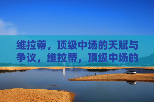 维拉蒂,顶级中场的天赋与争议,维拉蒂,顶级中场的天赋与争议 维拉蒂,顶级中场的天赋与争议,维拉蒂,顶级中场的天赋与争议