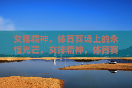 女排精神，体育赛场上的永恒光芒，女排精神，体育赛场的永恒光芒