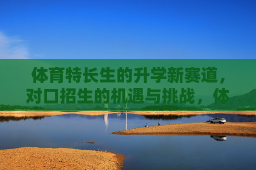 体育特长生的升学新赛道，对口招生的机遇与挑战，体育特长生对口招生，升学新赛道的机遇与挑战