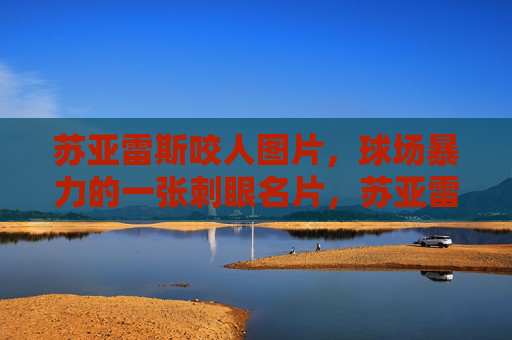 苏亚雷斯咬人图片，球场暴力的一张刺眼名片，苏亚雷斯咬人，球场暴力的刺眼名片