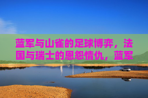 蓝军与山雀的足球博弈，法国与瑞士的恩怨情仇，蓝军与山雀，足球恩怨情仇