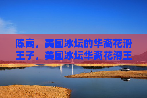 陈巍,美国冰坛的华裔花滑王子,美国冰坛华裔花滑王子陈巍 陈巍,美国冰坛的华裔花滑王子,美国冰坛华裔花滑王子陈巍