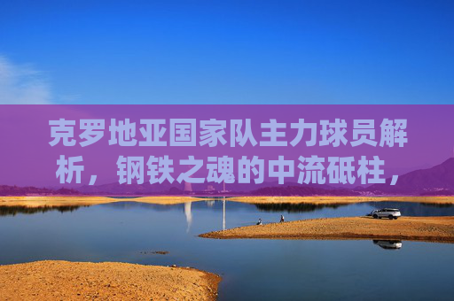 克罗地亚国家队主力球员解析，钢铁之魂的中流砥柱，克罗地亚钢铁之魂，主力球员中流砥柱解析