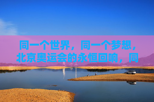 同一个世界，同一个梦想，北京奥运会的永恒回响，同一个世界，同一个梦想，北京奥运会的永恒回响