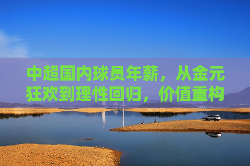 中超国内球员年薪,从金元狂欢到理性回归,价值重构之路,中超国内球员年薪,从金元狂欢到理性回归的价值重构 中超国内球员年薪,从金元狂欢到理性回归,价值重构之路,中超国内球员年薪,从金元狂欢到理性回归的价值重构