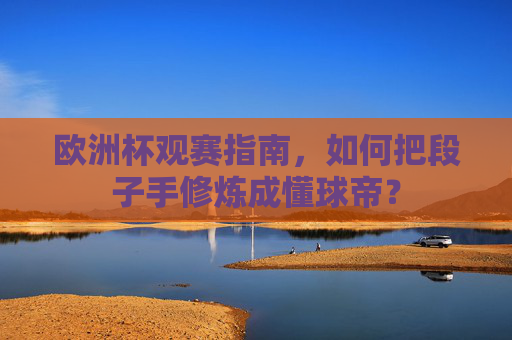 欧洲杯观赛指南,如何把段子手修炼成懂球帝? 欧洲杯观赛指南,如何把段子手修炼成懂球帝?