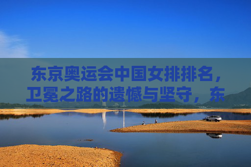 东京奥运会中国女排排名，卫冕之路的遗憾与坚守，东京奥运会中国女排卫冕之路，遗憾与坚守