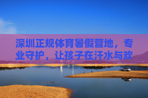 深圳正规体育暑假营地，专业守护，让孩子在汗水与欢笑中成长，深圳正规体育夏令营，专业守护，汗水欢笑伴成长