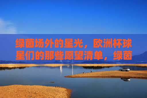 绿茵场外的星光，欧洲杯球星们的那些愿望清单，绿茵场外的星光，欧洲杯球星愿望清单