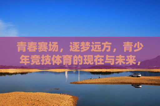 青春赛场，逐梦远方，青少年竞技体育的现在与未来，青春赛场，逐梦远方，青少年竞技体育的现在与未来