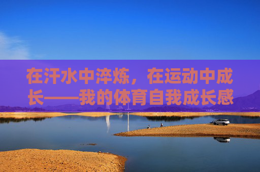 在汗水中淬炼，在运动中成长——我的体育自我成长感言，汗水淬炼，运动成长