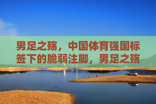 男足之殇，中国体育强国标签下的脆弱注脚，男足之殇，体育强国标签下的脆弱注脚