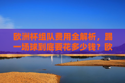 欧洲杯组队费用全解析，踢一场球到底要花多少钱？欧洲杯组队费用，踢一场球要花多少钱？