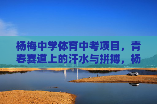 杨梅中学体育中考项目，青春赛道上的汗水与拼搏，杨梅中学体育中考，青春赛道上的汗水与拼搏