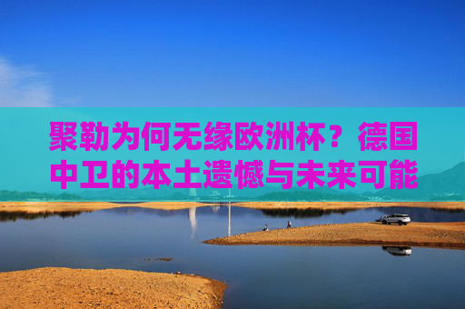 聚勒为何无缘欧洲杯？德国中卫的本土遗憾与未来可能，德国中卫聚勒，无缘欧洲杯的本土遗憾与未来展望