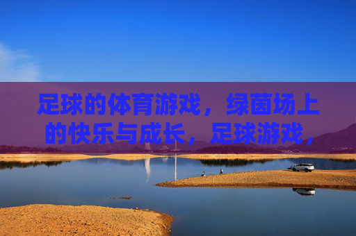 足球的体育游戏，绿茵场上的快乐与成长，足球游戏，绿茵场上的快乐成长