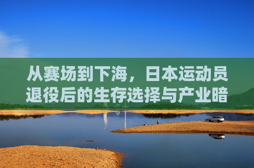 从赛场到下海,日本运动员退役后的生存选择与产业暗涌,从赛场到下海,日本运动员的生存选择与产业暗涌 从赛场到下海,日本运动员退役后的生存选择与产业暗涌,从赛场到下海,日本运动员的生存选择与产业暗涌