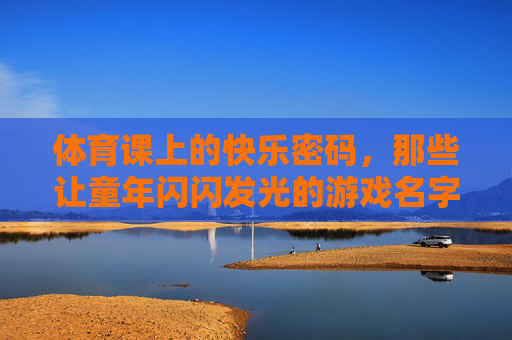 体育课上的快乐密码,那些让童年闪闪发光的游戏名字,体育课游戏,童年快乐的闪光密码 体育课上的快乐密码,那些让童年闪闪发光的游戏名字,体育课游戏,童年快乐的闪光密码
