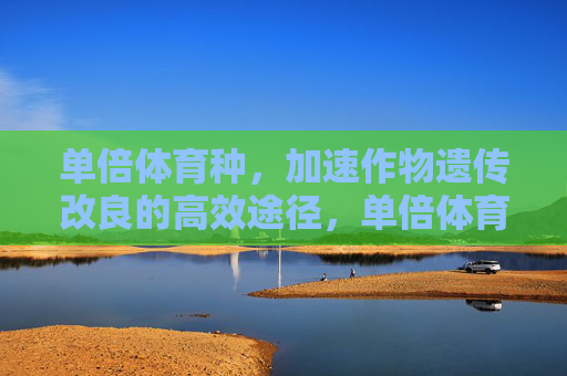 单倍体育种,加速作物遗传改良的高效途径,单倍体育种,加速作物遗传改良的高效途径 单倍体育种,加速作物遗传改良的高效途径,单倍体育种,加速作物遗传改良的高效途径