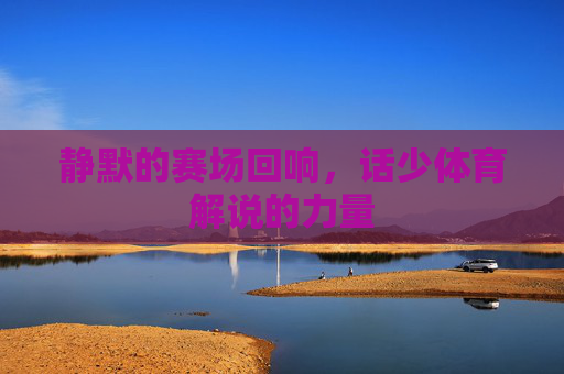静默的赛场回响,话少体育解说的力量 静默的赛场回响,话少体育解说的力量