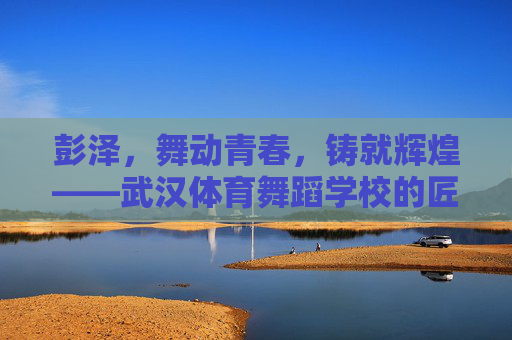 彭泽，舞动青春，铸就辉煌——武汉体育舞蹈学校的匠心领航者