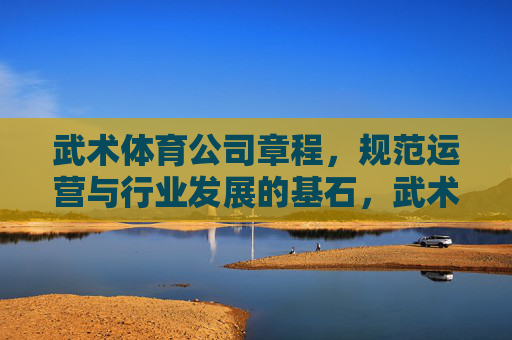 武术体育公司章程，规范运营与行业发展的基石，武术体育公司章程，规范运营与行业发展的基石