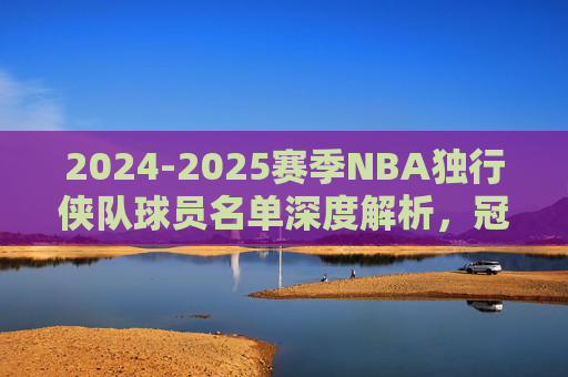 2024-2025赛季NBA独行侠队球员名单深度解析,冠军之师的阵容构成与竞争力展望 2024-2025赛季NBA独行侠队球员名单深度解析,冠军之师的阵容构成与竞争力展望