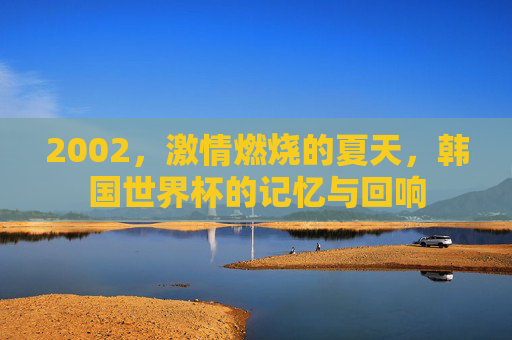 2002,激情燃烧的夏天,韩国世界杯的记忆与回响 2002,激情燃烧的夏天,韩国世界杯的记忆与回响