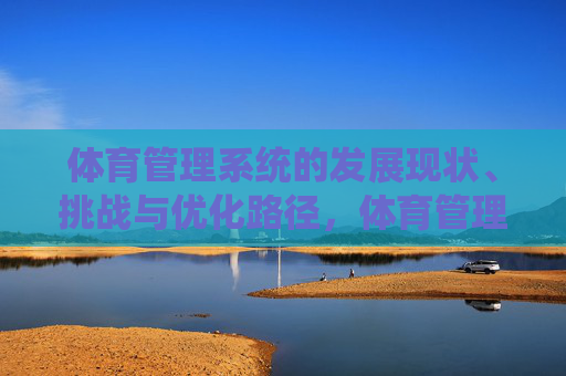 体育管理系统的发展现状、挑战与优化路径，体育管理系统，发展现状、挑战与优化路径